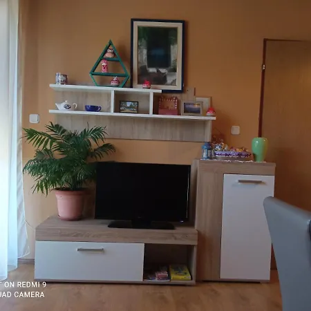 Ruza Apartment *